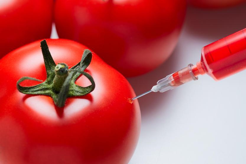 Domates sperm kalitesini artırıyor