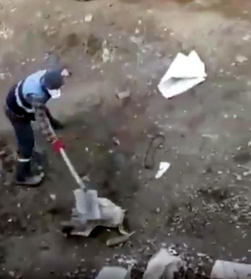 Köpeğe eziyet görüntülerine suç duyurusu