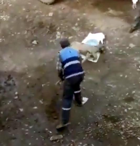 Köpeğe eziyet görüntülerine suç duyurusu