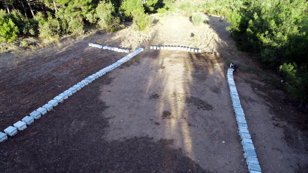 Kanser hücrelerini tedavi etme özelliği olan mucize balın sırrı