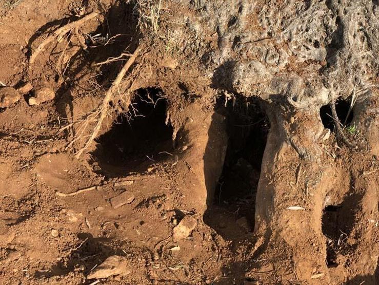 Muğladaki o sırrı nükleer fizikçiler ortaya çıkardı