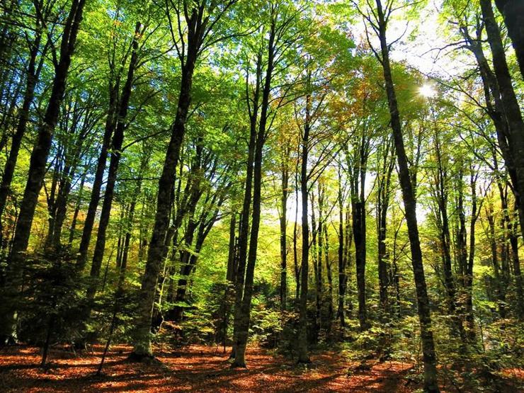 Kazdağları fotoğrafçıların adresi oldu