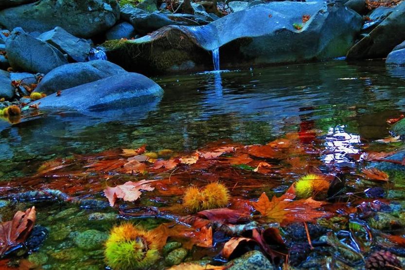 Kazdağları fotoğrafçıların adresi oldu