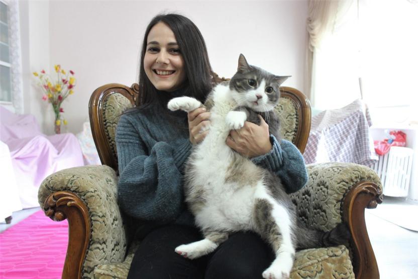 Aslan yavrusu gibi kedi tam 11 kilo