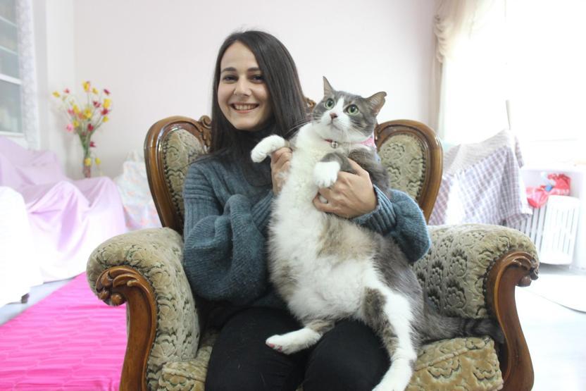 Aslan yavrusu gibi kedi tam 11 kilo