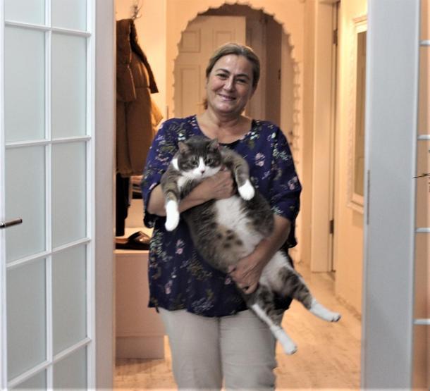 Aslan yavrusu gibi kedi tam 11 kilo