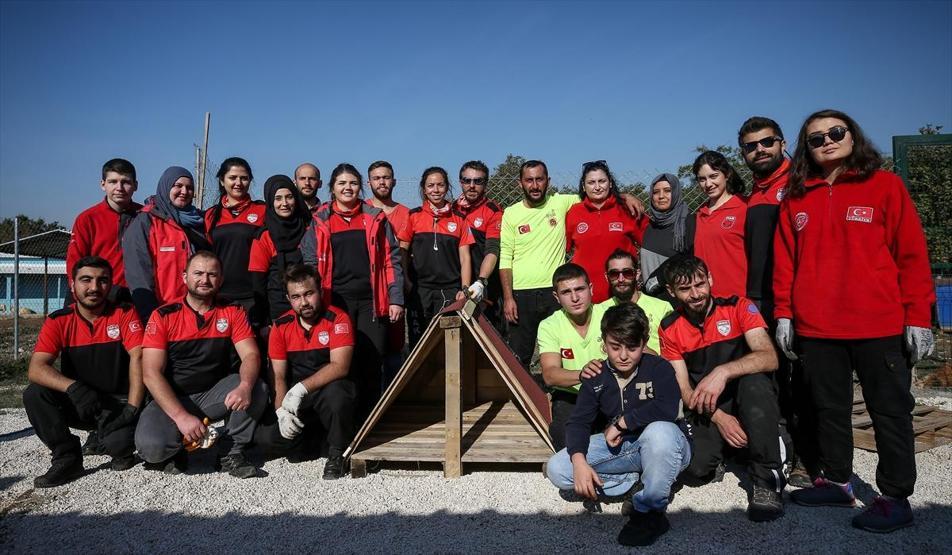 Atık tahtalar sokak köpeklerine yuva oldu