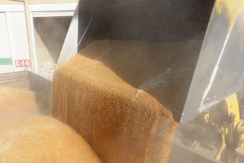 Mezopotamya güneşi bulgur için sıraya girdiler