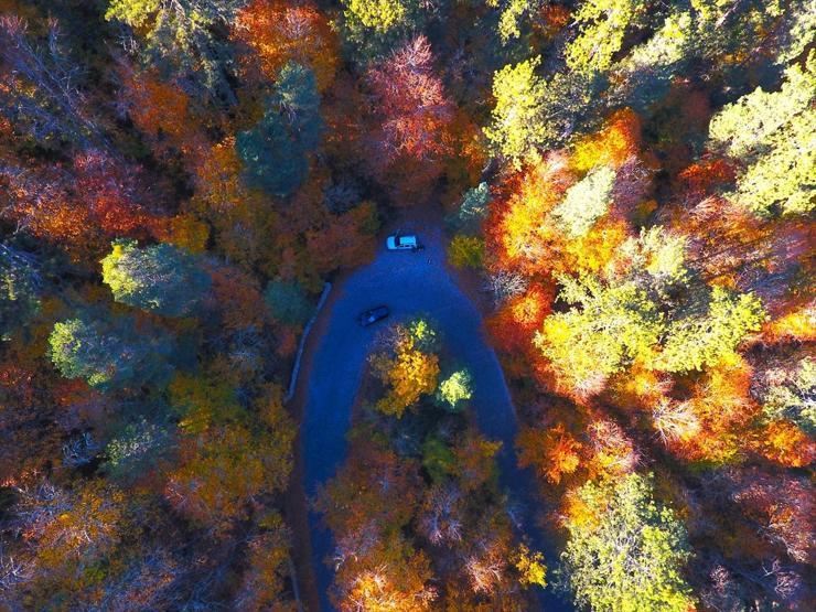 Bolu ve Düzcede büyüleyen doğa görüntüleri