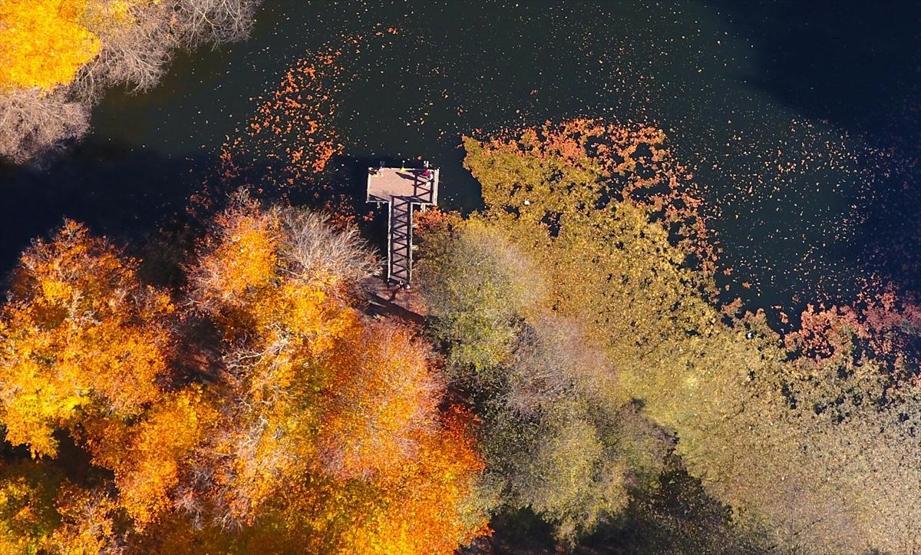 Bolu ve Düzcede büyüleyen doğa görüntüleri