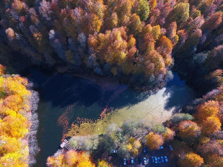 Bolu ve Düzcede büyüleyen doğa görüntüleri