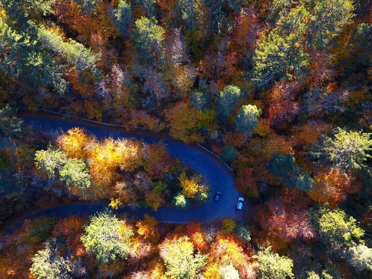 Bolu ve Düzcede büyüleyen doğa görüntüleri