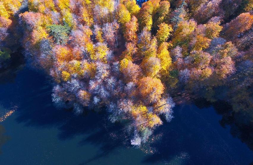 Bolu ve Düzcede büyüleyen doğa görüntüleri