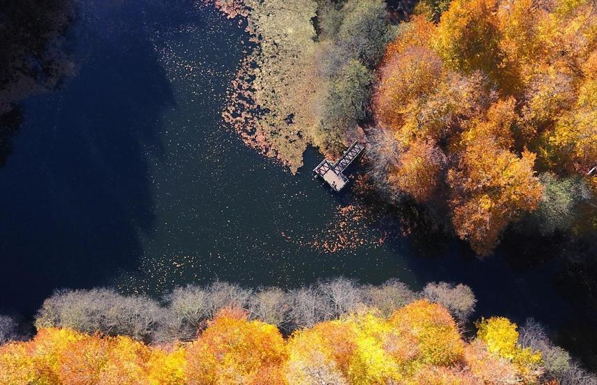 Bolu ve Düzcede büyüleyen doğa görüntüleri