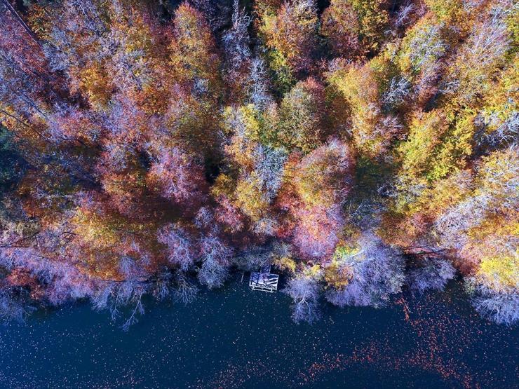 Bolu ve Düzcede büyüleyen doğa görüntüleri