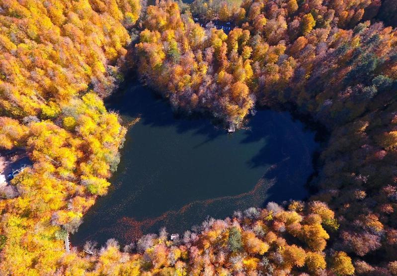 Bolu ve Düzcede büyüleyen doğa görüntüleri