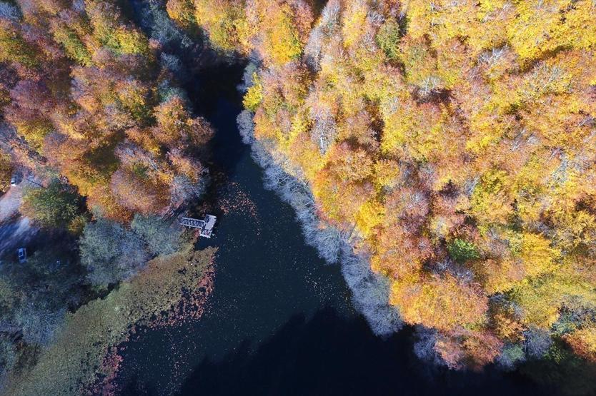 Bolu ve Düzcede büyüleyen doğa görüntüleri