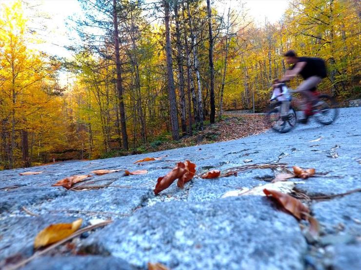 Bolu ve Düzcede büyüleyen doğa görüntüleri