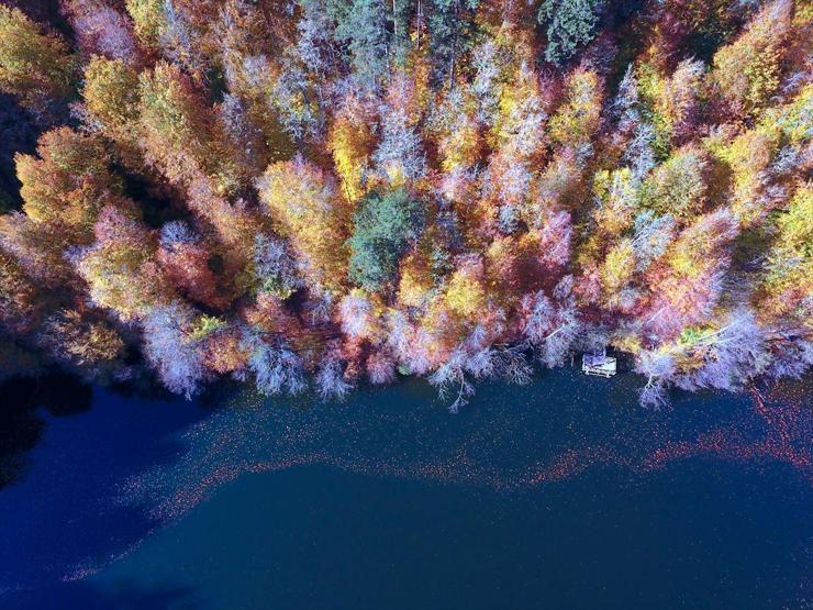 Bolu ve Düzcede büyüleyen doğa görüntüleri