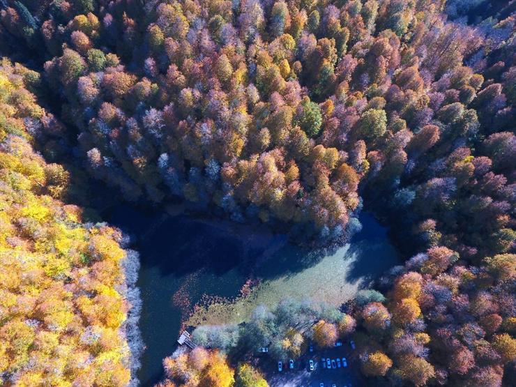 Bolu ve Düzcede büyüleyen doğa görüntüleri