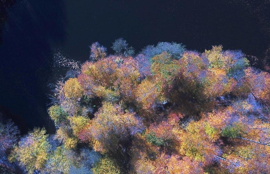 Bolu ve Düzcede büyüleyen doğa görüntüleri