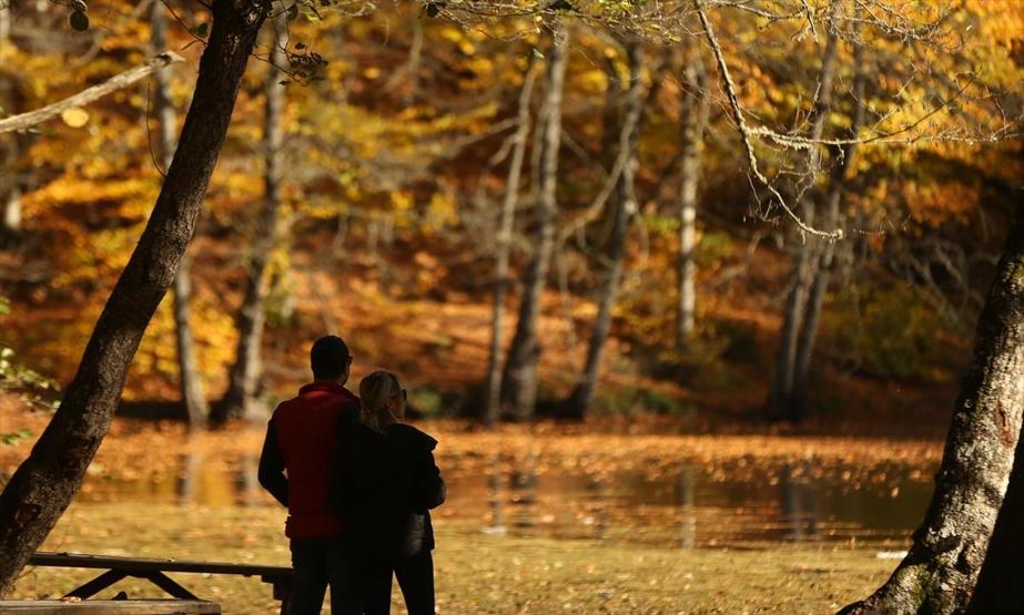 Bolu ve Düzcede büyüleyen doğa görüntüleri