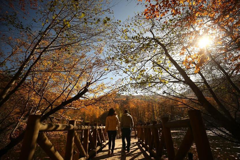 Bolu ve Düzcede büyüleyen doğa görüntüleri
