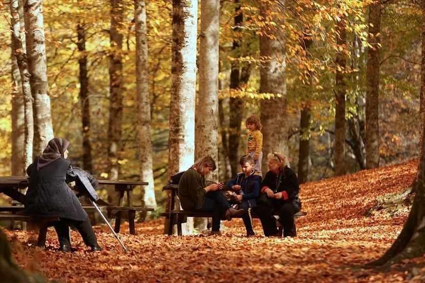 Bolu ve Düzcede büyüleyen doğa görüntüleri