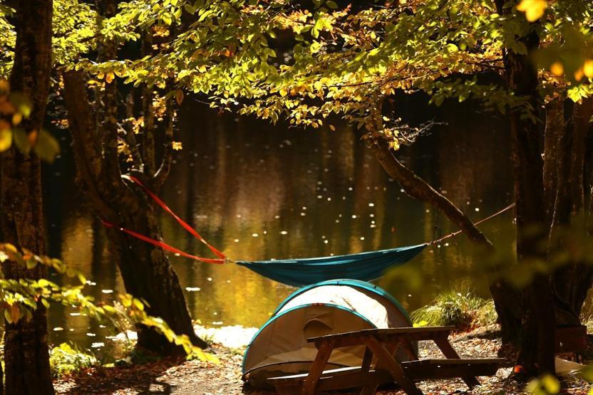 Bolu ve Düzcede büyüleyen doğa görüntüleri