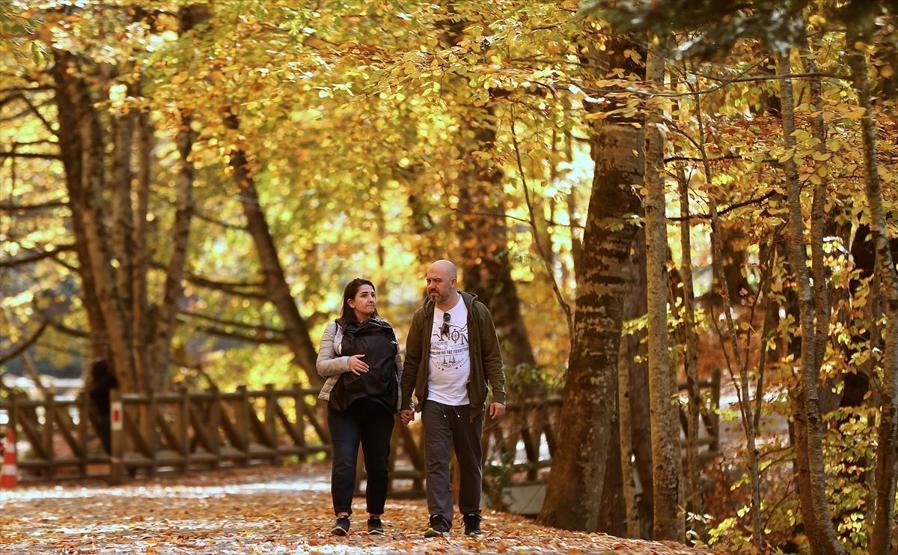 Bolu ve Düzcede büyüleyen doğa görüntüleri