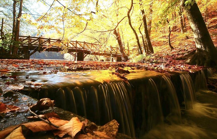Bolu ve Düzcede büyüleyen doğa görüntüleri