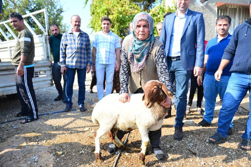 Koyunları çalınan Ayşe teyzenin gözyaşlarını Bakan Pakdemirli dindirdi