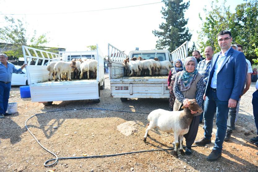 Koyunları çalınan Ayşe teyzenin gözyaşlarını Bakan Pakdemirli dindirdi