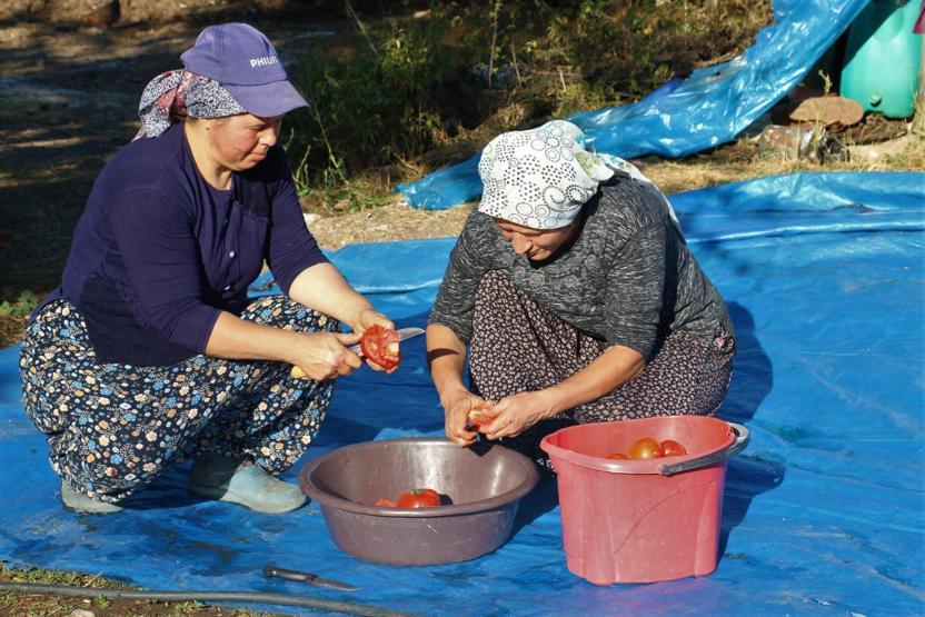 Bir gün uğraşıp tüm kış boyunca yiyorlar