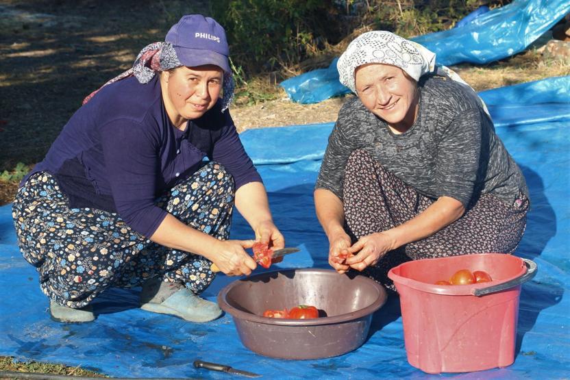 Bir gün uğraşıp tüm kış boyunca yiyorlar