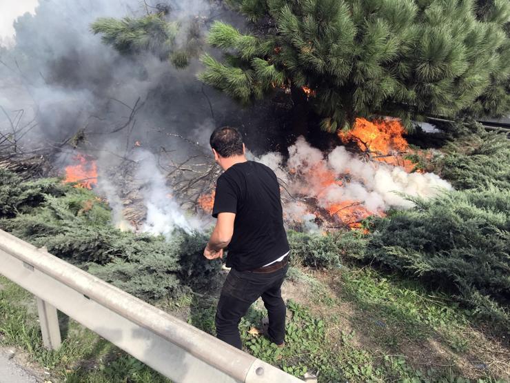 Otoyol kenarındaki ağaçlar yandı