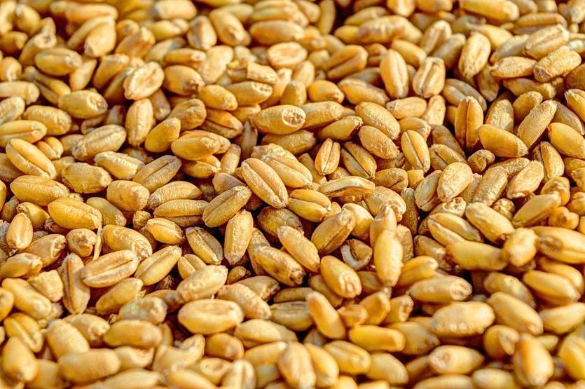 İşte lif kaynağı besinler Kilo vermenize yardımcı oluyor