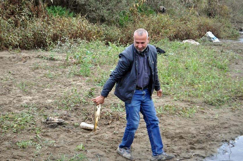 Kasa kasa evlerine götürdüler