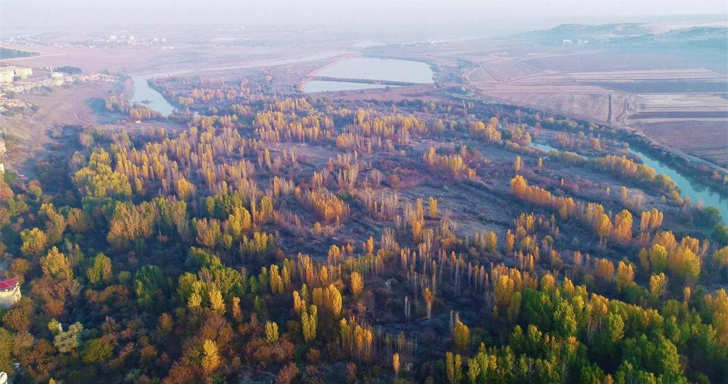 Doyumsuz manzara
