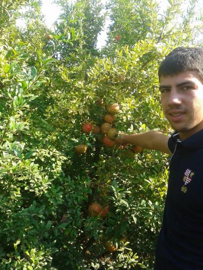Son dakika... 4üncü çift kol nakli Antalyada yapıldı