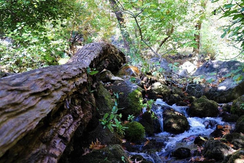 Karanlıkdere Kanyonunda sonbahar güzelliği