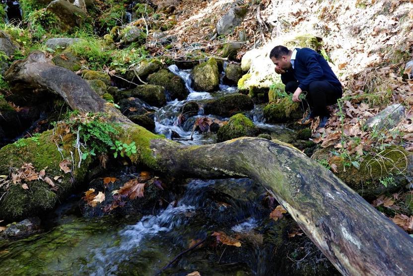 Karanlıkdere Kanyonunda sonbahar güzelliği
