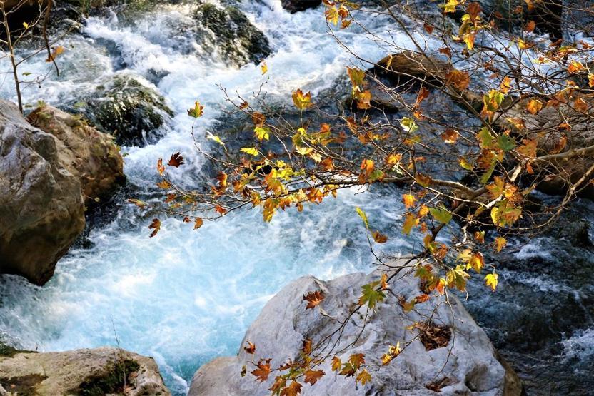 Karanlıkdere Kanyonunda sonbahar güzelliği