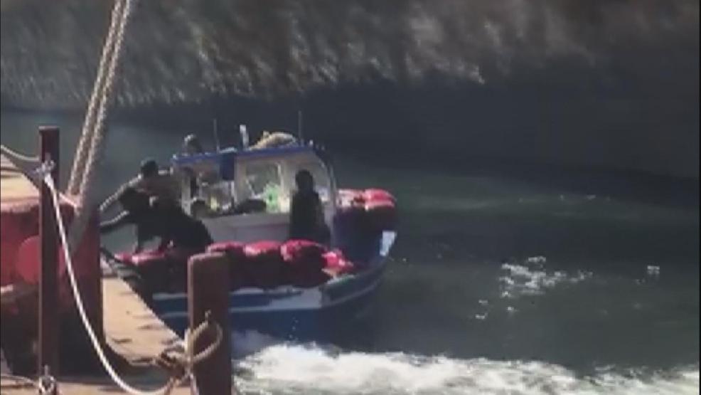 Sanayi bölgesindeki zehirli midyeleri toplarken böyle görüntülendiler