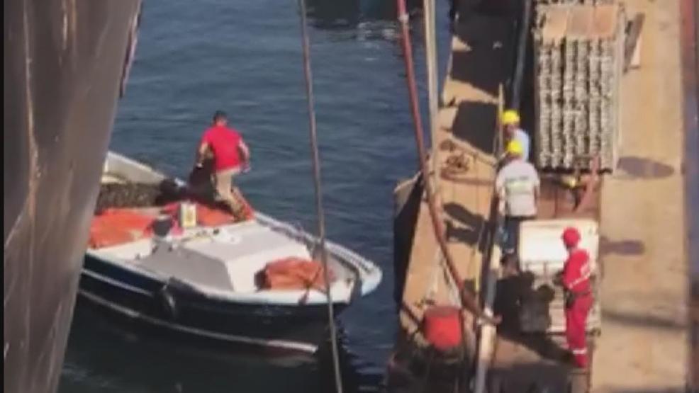 Sanayi bölgesindeki zehirli midyeleri toplarken böyle görüntülendiler