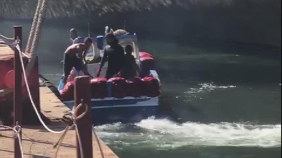 Sanayi bölgesindeki zehirli midyeleri toplarken böyle görüntülendiler