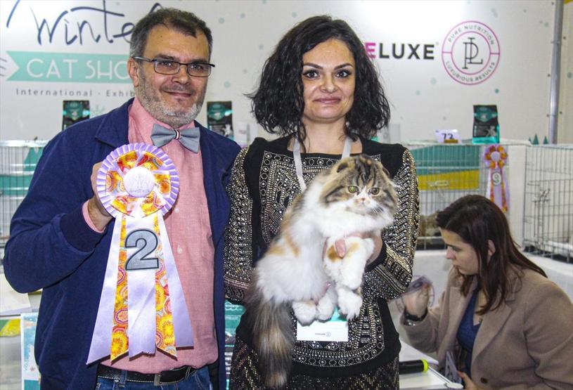 12 ülkeden katıldılar Tam 2 bin kedi