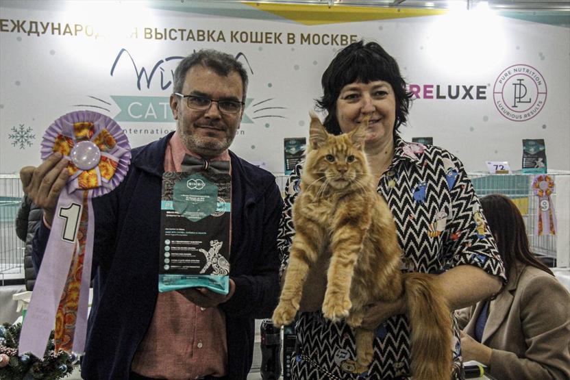 12 ülkeden katıldılar Tam 2 bin kedi