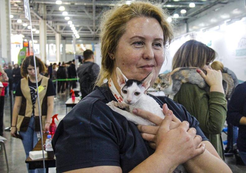 12 ülkeden katıldılar Tam 2 bin kedi