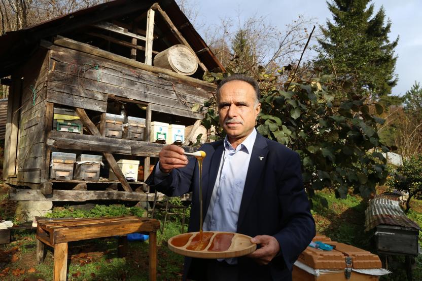 Kestane balı tam bir şifa deposu